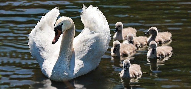 Skuteczne odchudzanie – jakim sposobem zaprzepaścić bezużyteczne kilogramy?