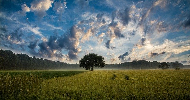 Zadbany facet (golenie, pielęgnacja męskiej skóry itd.) – Faceci też troszczą się o własne ciało